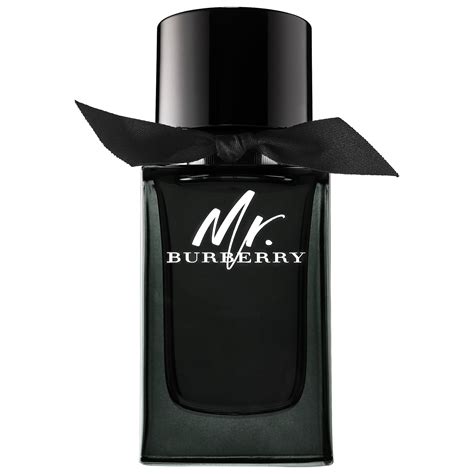 Mr. Burberry Eau de Parfum 100 ml (100ml) 